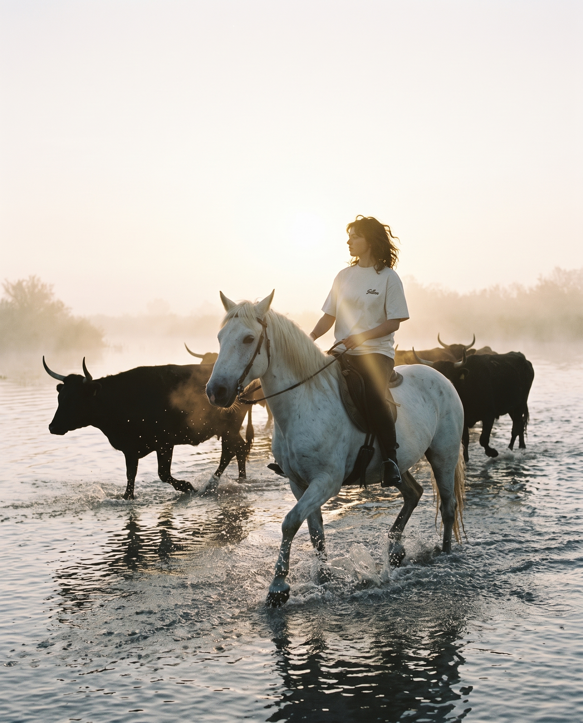 Archive Sillon — VOLUME I CAMARGUE