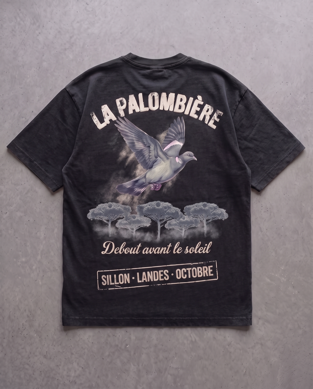 Tee lourd « La Palombière » — noir délavé