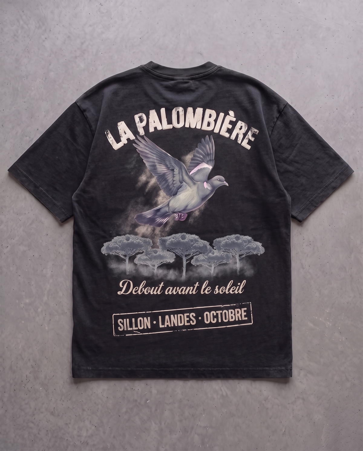 Tee lourd « La Palombière » — noir délavé